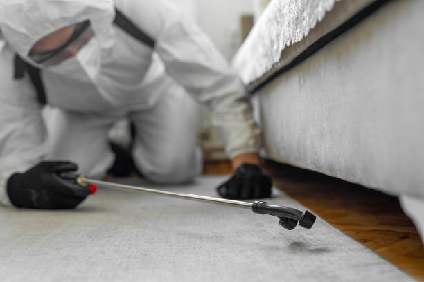 Professional Mosquito Control technician working in Tulia, TX