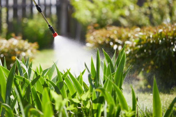 24/7 Emergency Mosquito Control experts in Tulia, TX
